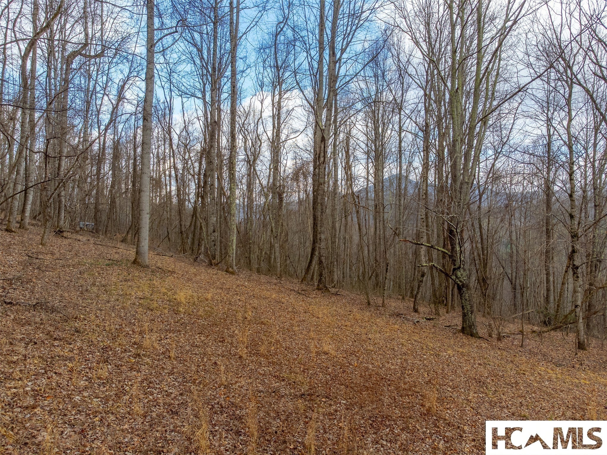 1241 Henry Road Franklin, NC 28734 - Photo 40 of 67 Gallery Image 40