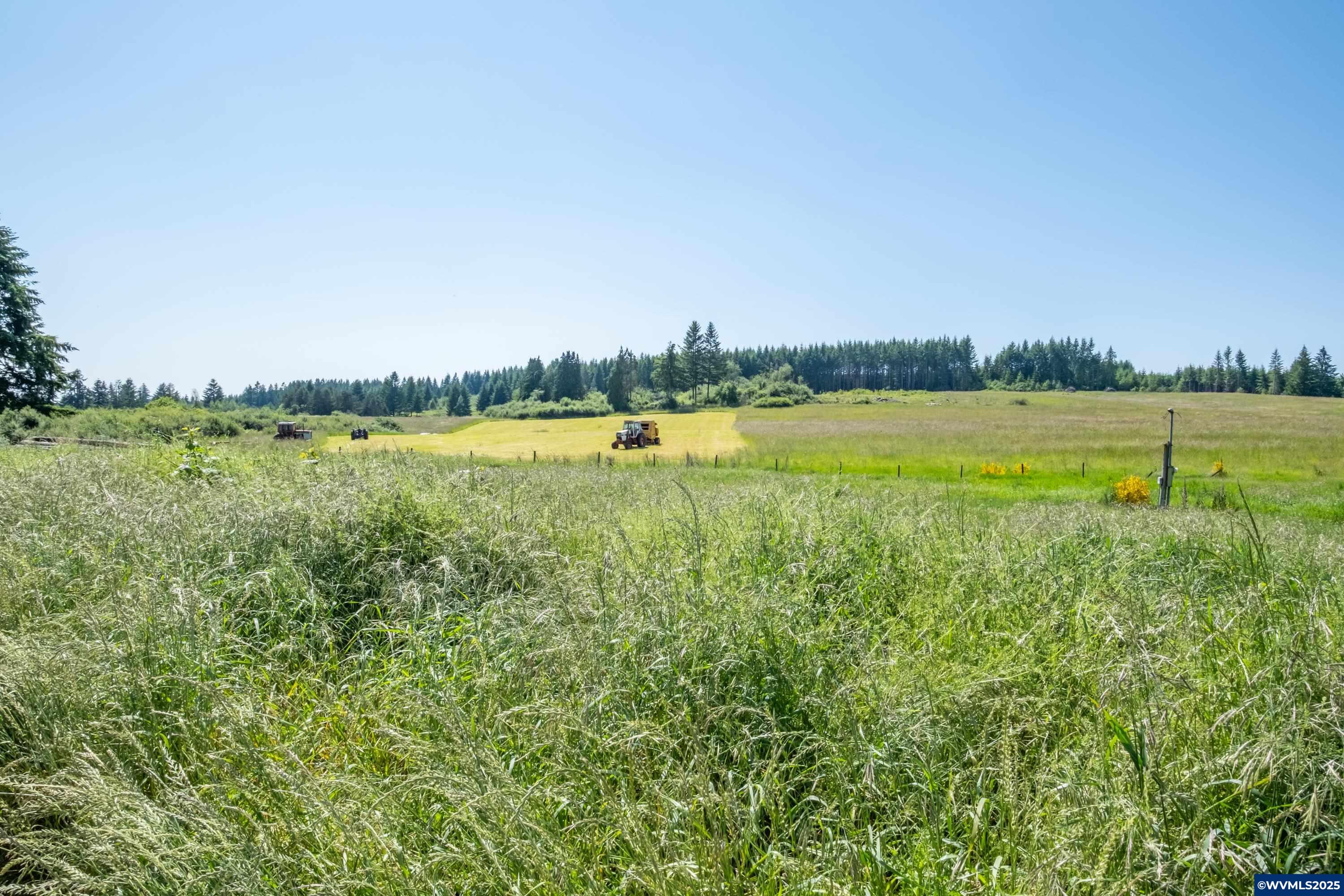 22411 South Schram Road Beavercreek, OR 97004 - Photo 9 of 13