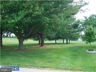 140 Harris Road Mannington, NJ 08079 - Photo 12 of 12 a big yard with lots of green space and trees