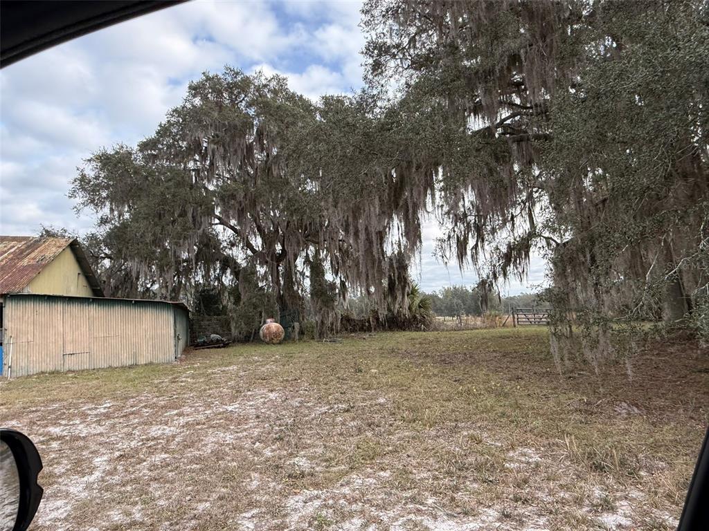 29605 Fullerville Road DeLand, FL 32720 - Photo 12 of 37 a view of backyard with tree