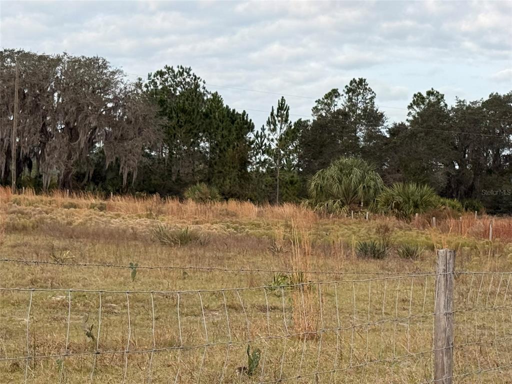 29605 Fullerville Road DeLand, FL 32720 - Photo 20 of 37 a view of a yard