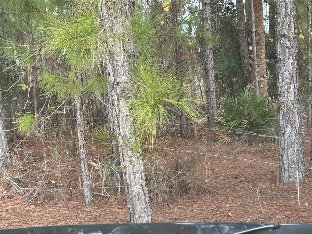 29605 Fullerville Road DeLand, FL 32720 - Photo 21 of 37