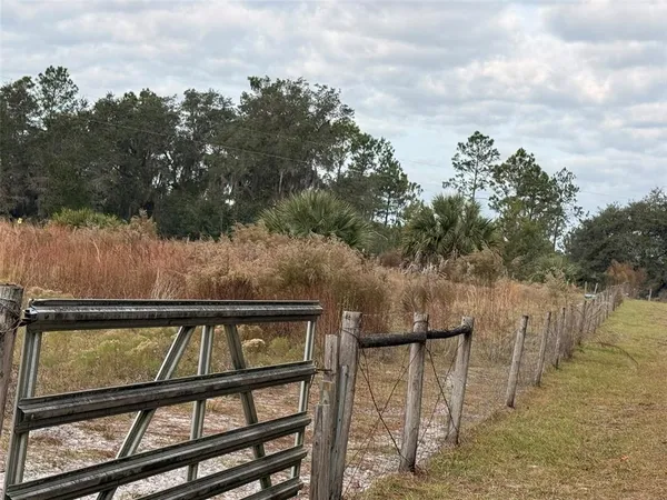 a view of a dry yard with trees