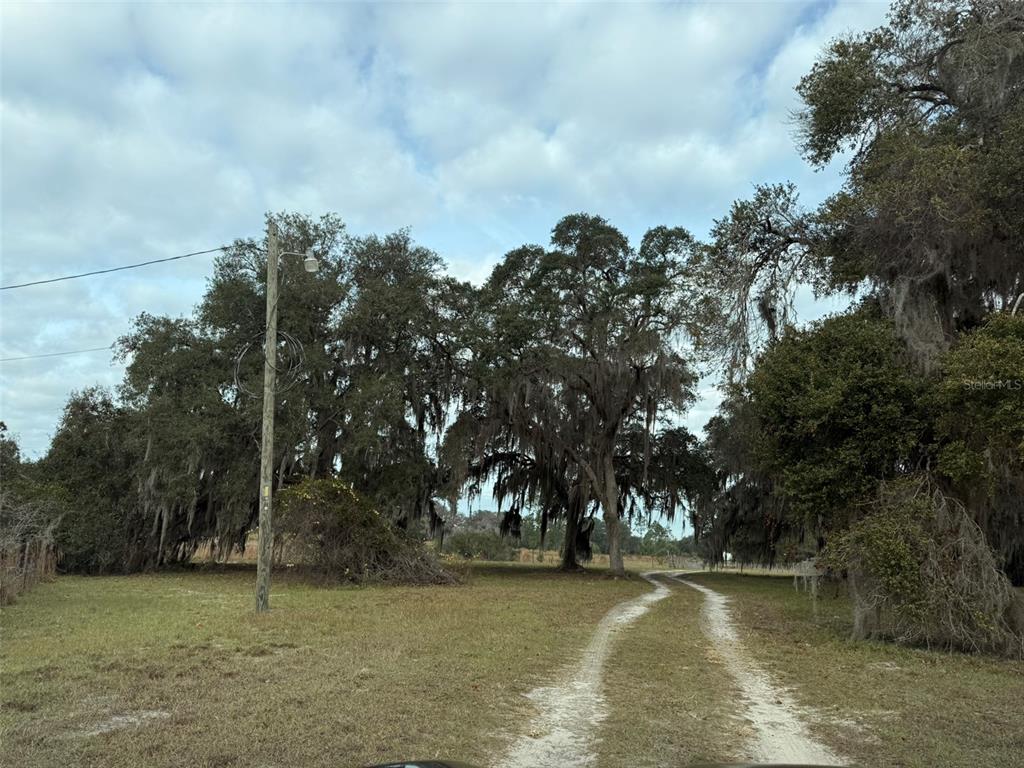 29605 Fullerville Road DeLand, FL 32720 - Photo 3 of 37
