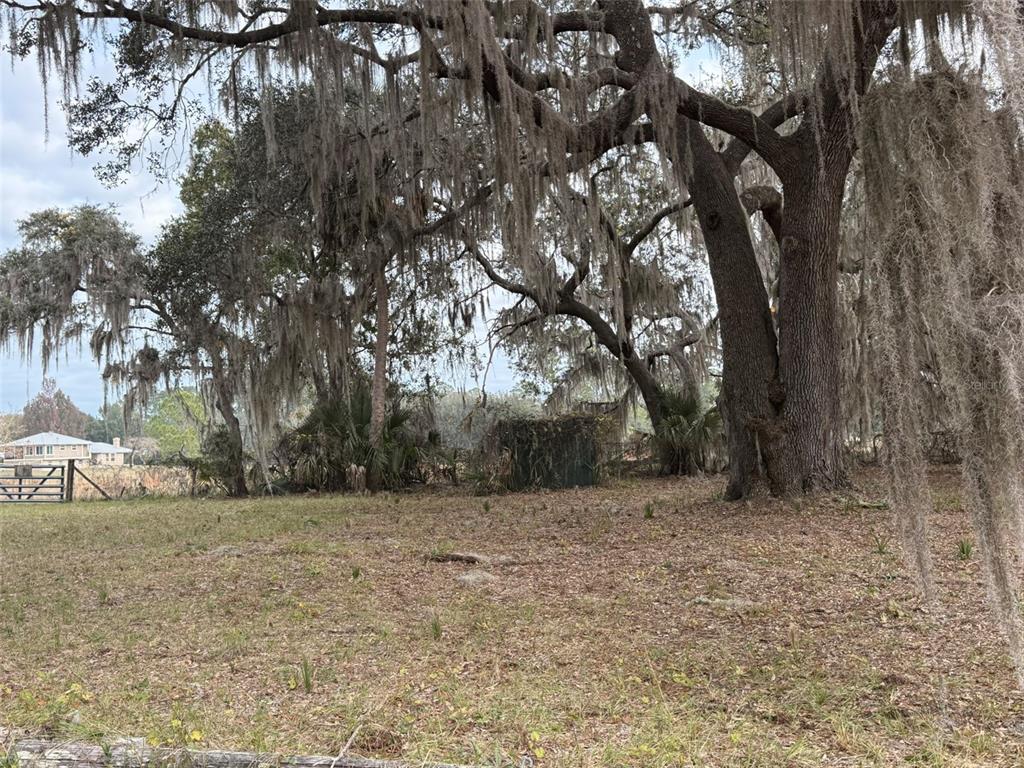 29605 Fullerville Road DeLand, FL 32720 - Photo 6 of 37
