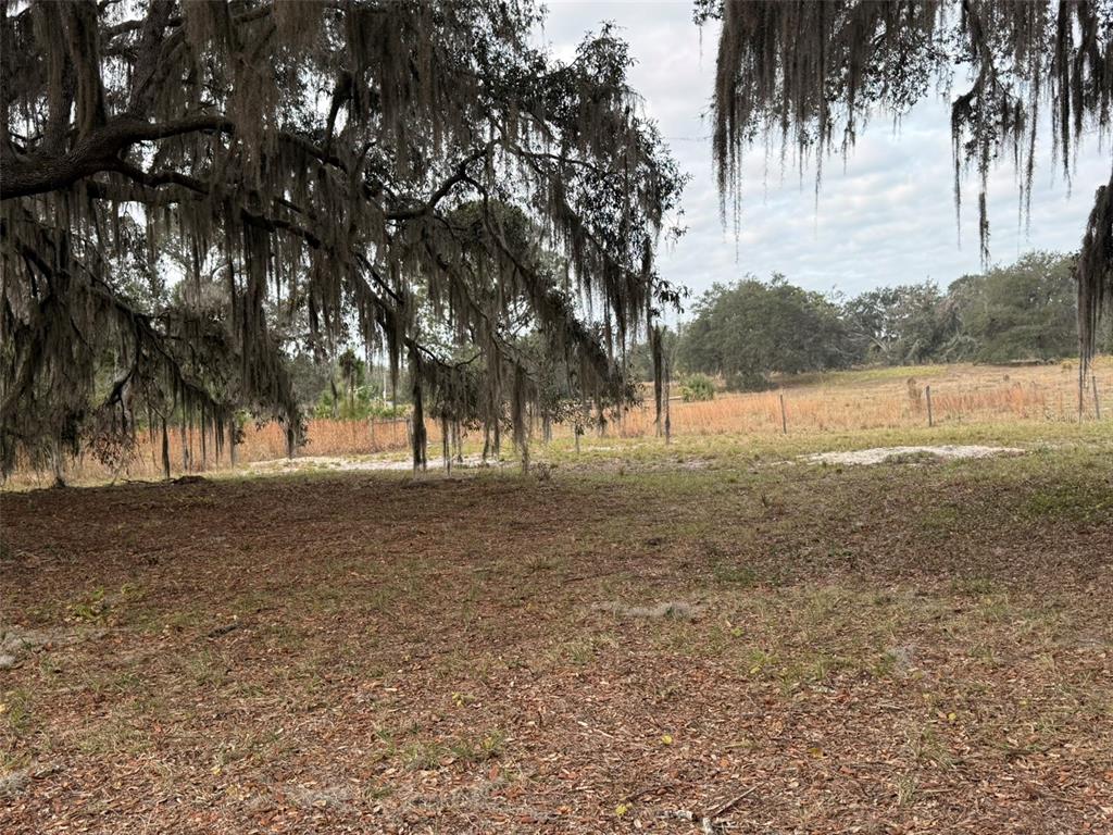 29605 Fullerville Road DeLand, FL 32720 - Photo 8 of 37 a view of outdoor space with trees