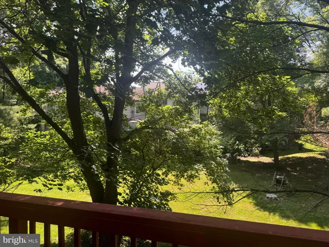 a view of lake from a window