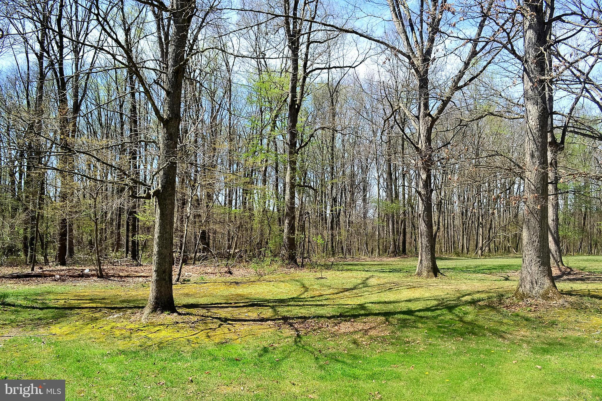 7610 Pindell School Road Fulton, MD 20759 - Photo 30 of 30 View from Back of Home