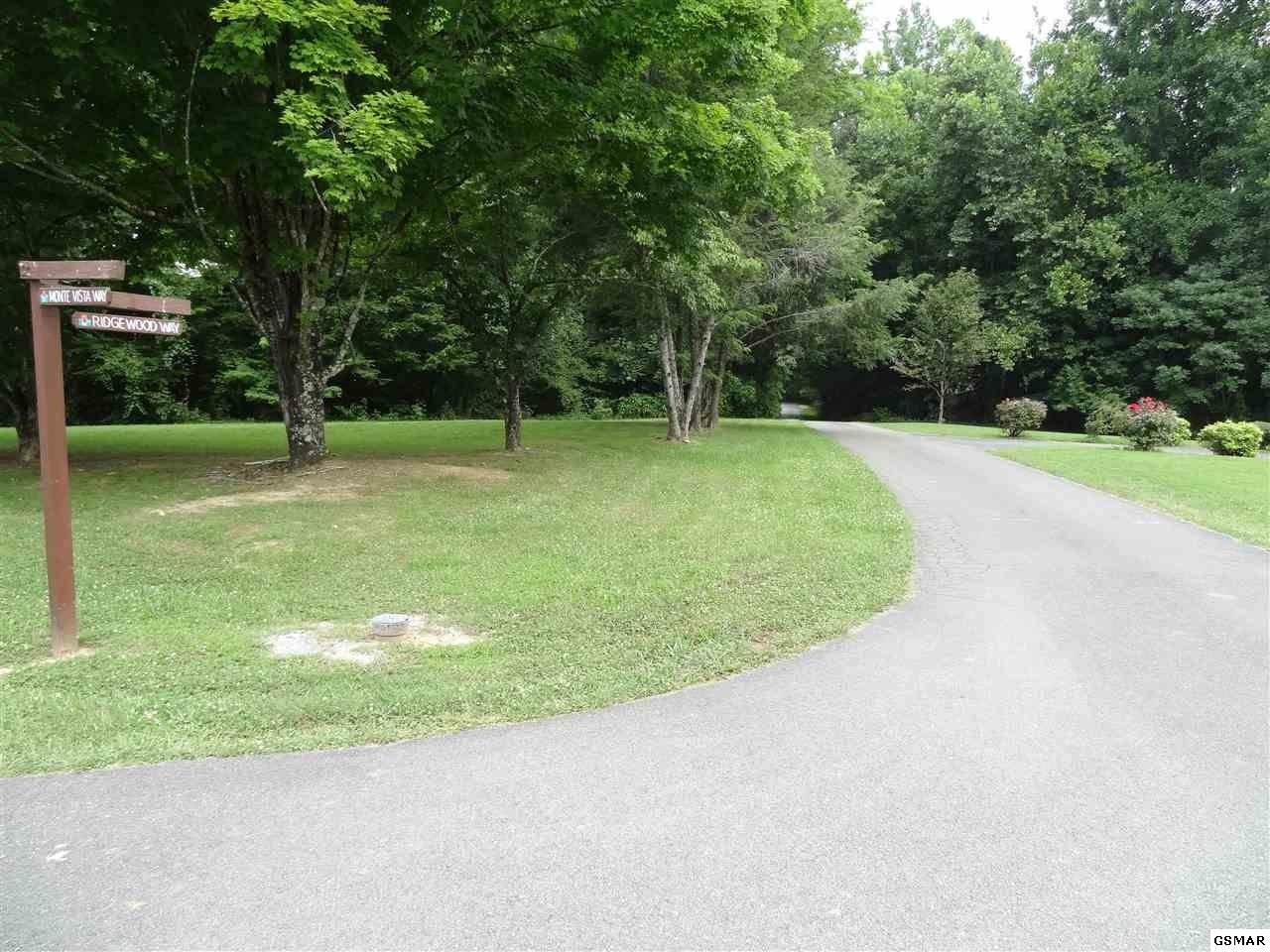 41 Ridgewood Way Cosby, TN 37722 - Photo 2 of 4