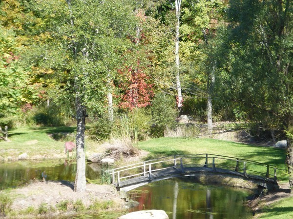 425 Taylor Road Stow, MA 01775 - Photo 28 of 28 a backyard of a house with a yard and outdoor seating