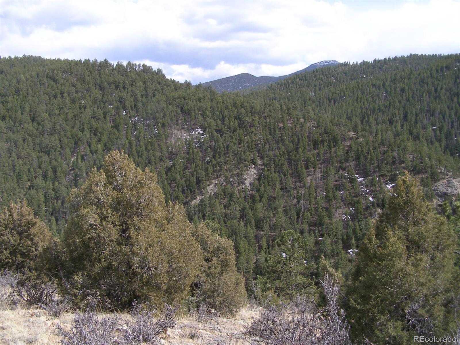 Lot E Laughing Valley Ranch Road Idaho Springs, CO 80452 - Photo 8 of 8 Gallery Image 8