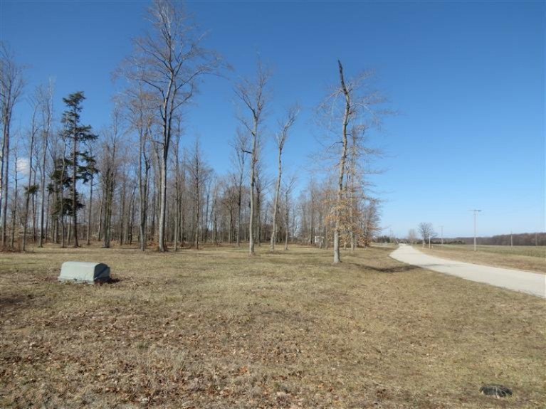 2 West Harrison Road Hart, MI 49420 - Photo 7 of 11 Additional Photo