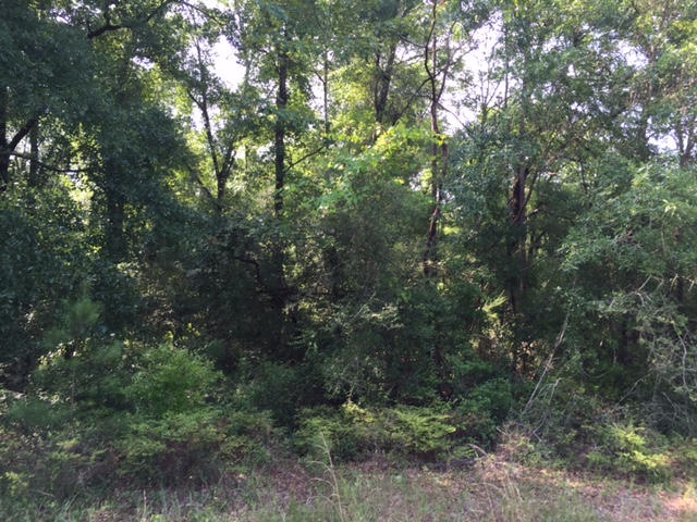 13-ac Coy Ellis Road DeFuniak Springs, FL 32433 - Photo 2 of 4 garrett 1
