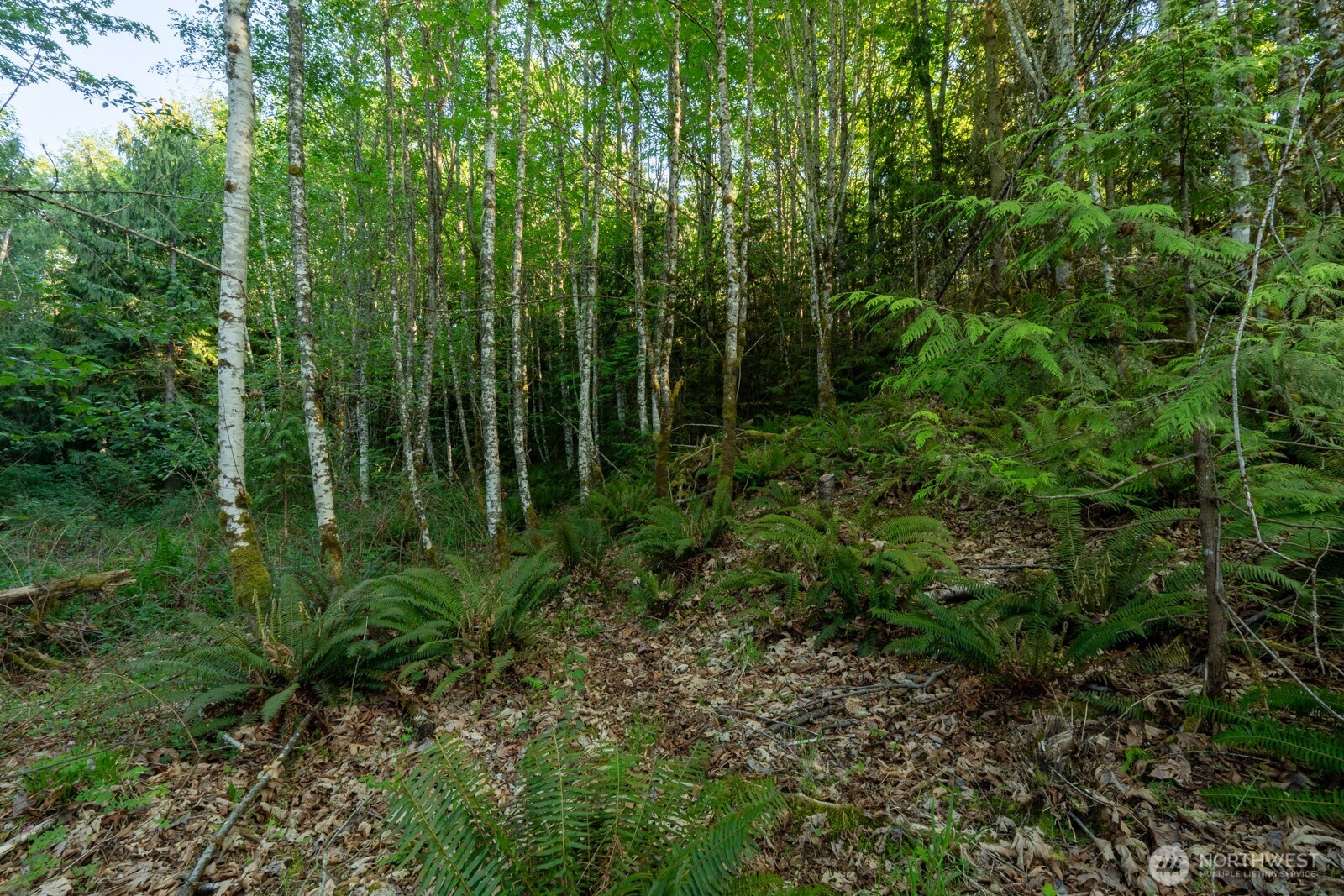 405 Elk Run Trail Port Angeles, WA 98362 - Photo 12 of 19 a view of outdoor space and green space