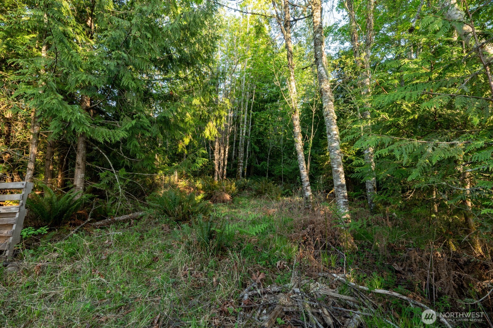 405 Elk Run Trail Port Angeles, WA 98362 - Photo 18 of 19 a view of outdoor space and green space
