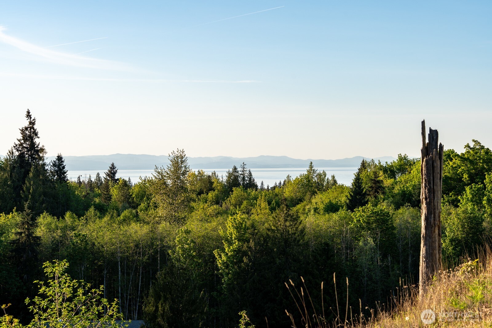 405 Elk Run Trail Port Angeles, WA 98362 - Photo 19 of 19 a view of a green field