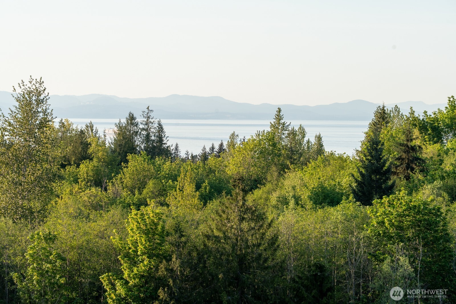 405 Elk Run Trail Port Angeles, WA 98362 - Photo 2 of 19 a view of a lake and green valley