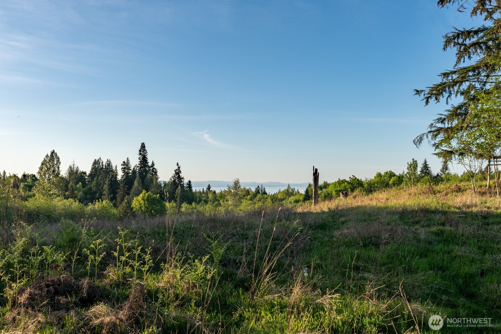 405 Elk Run Trail Port Angeles, WA 98362 - Photo 5 of 19 a view of a city