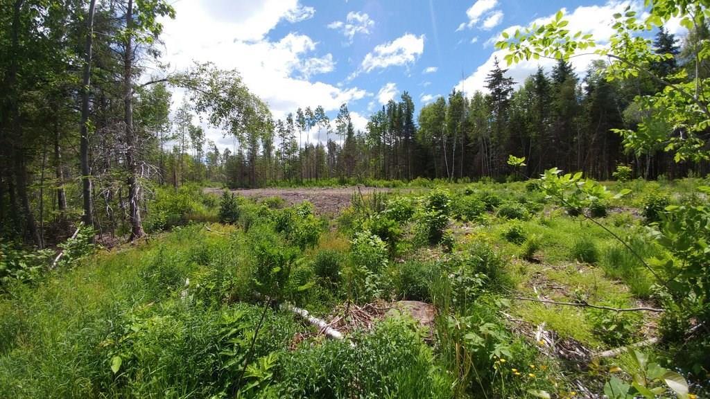 Off Jackins Settlement Road Orient, ME 04471 - Photo 22 of 25 Photo