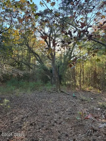 $19,900 | 3389 Gainer Road, Chipley, FL 32428