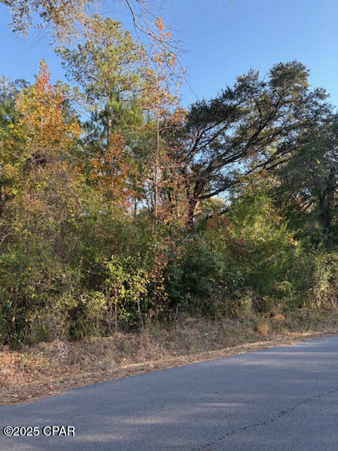 3389 Gainer Road Chipley, FL 32428 - Photo 2 of 11