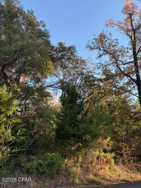 3389 Gainer Road Chipley, FL 32428 - Photo 4 of 11