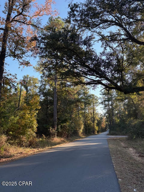 3389 Gainer Road Chipley, FL 32428 - Photo 5 of 11