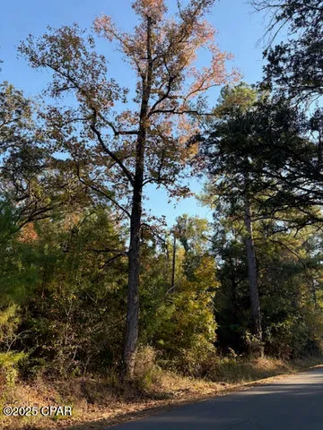 $19,900 | 3389 Gainer Road, Chipley, FL 32428