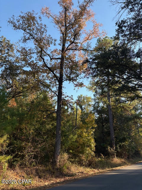 3389 Gainer Road Chipley, FL 32428 - Photo 6 of 11