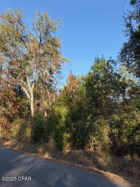 3389 Gainer Road Chipley, FL 32428 - Photo 7 of 11