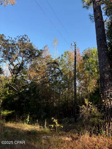 $19,900 | 3389 Gainer Road, Chipley, FL 32428