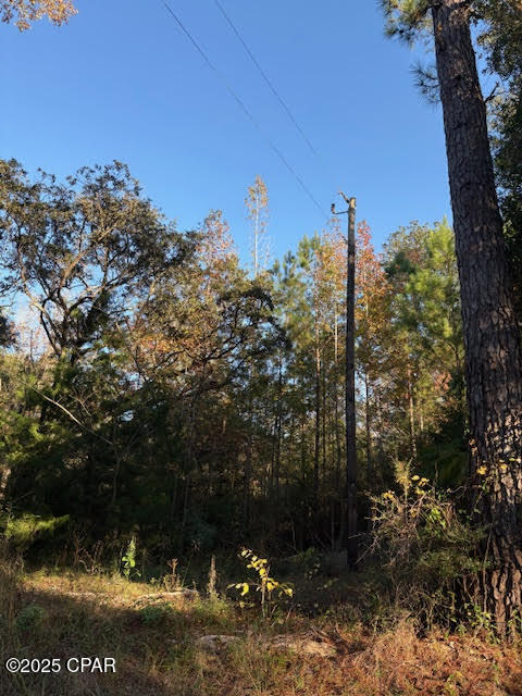 3389 Gainer Road Chipley, FL 32428 - Photo 8 of 11