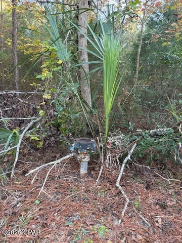 $19,900 | 3389 Gainer Road, Chipley, FL 32428