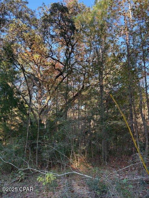 3389 Gainer Road Chipley, FL 32428 - Photo 10 of 11