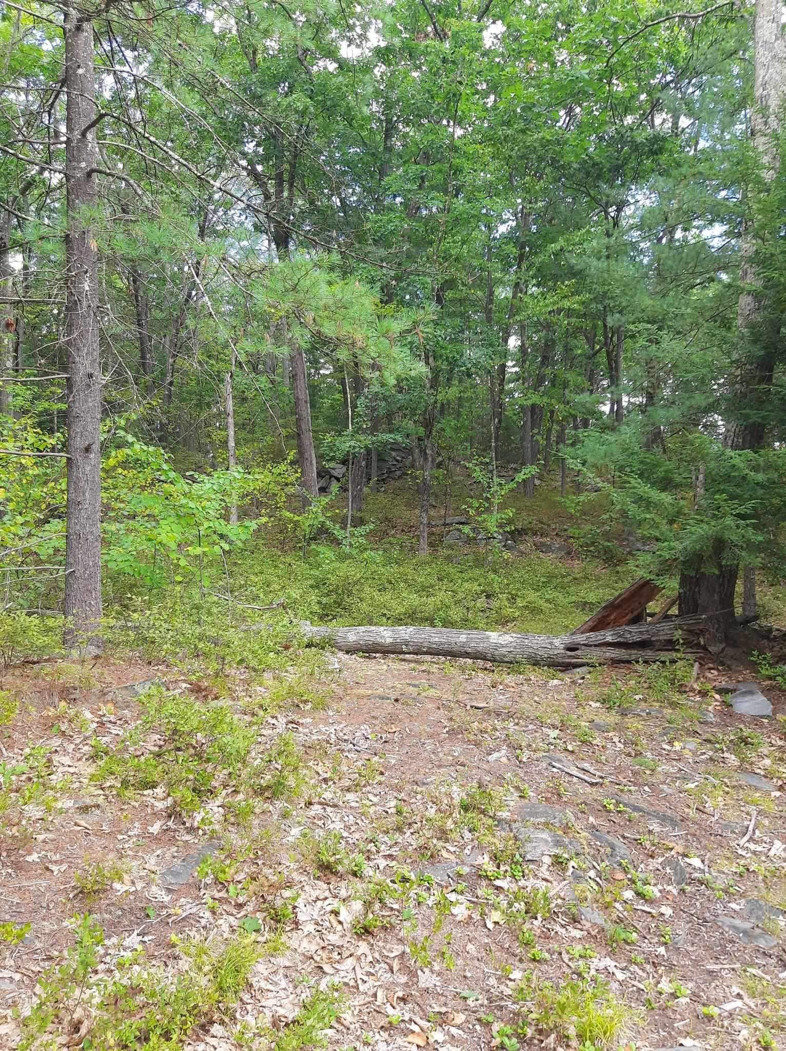 319 River Road South Putney, VT 05346 - Photo 13 of 16