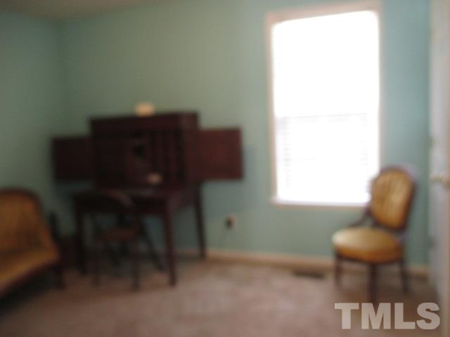 142 Rosa Circle Willow Spring, NC 27592 - Photo 19 of 25