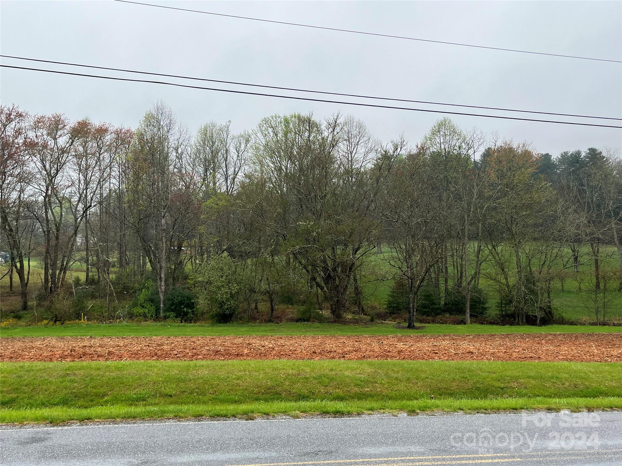 207 Kimzey Road Mills River, NC 28759 - Photo 3 of 4 a view of a yard