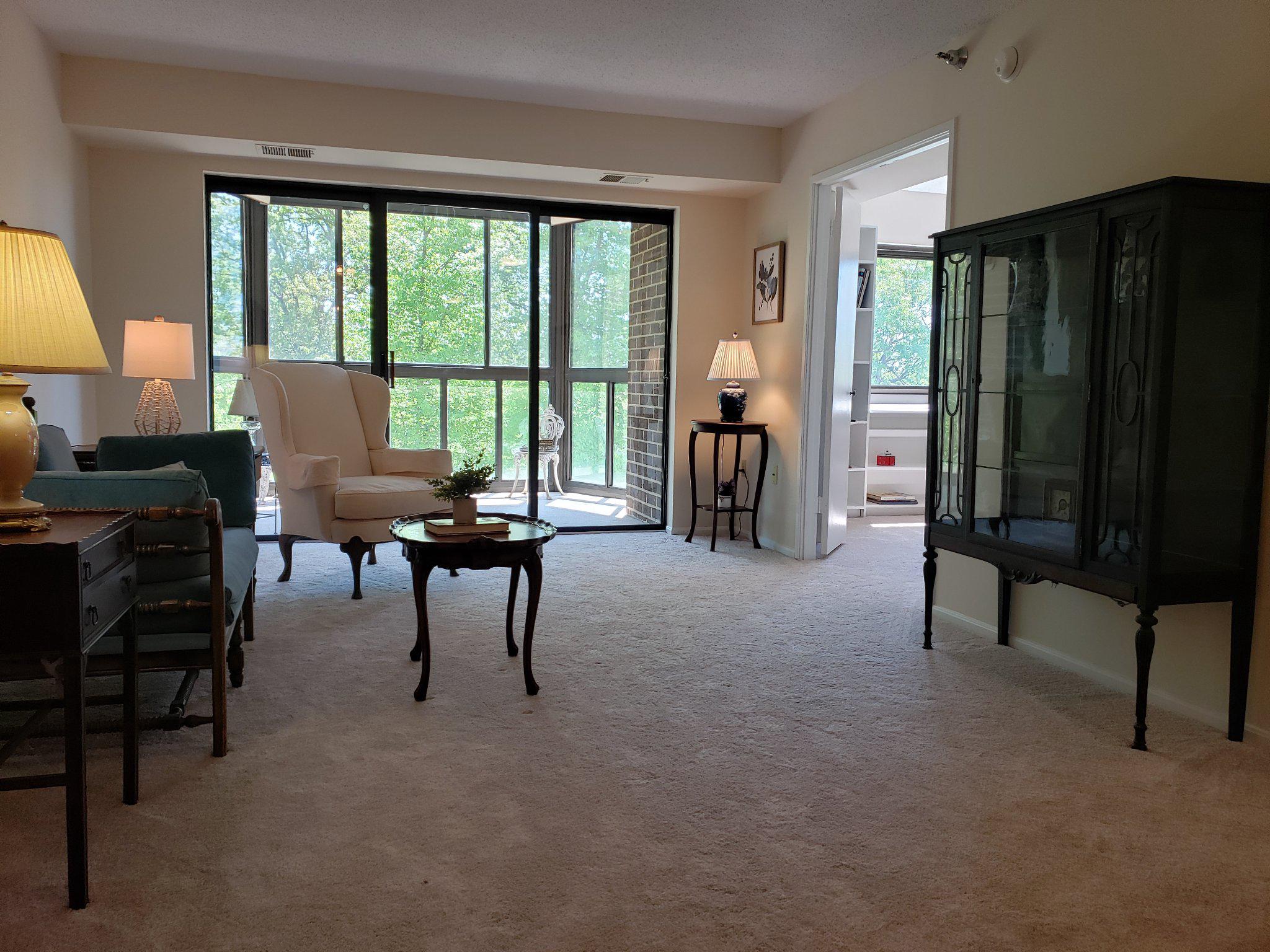 15100 Interlachen Drive, Unit 4520 Silver Spring, MD 20906 - Photo 8 of 39 Bright and airy Living Rm w/New W/W Carpet