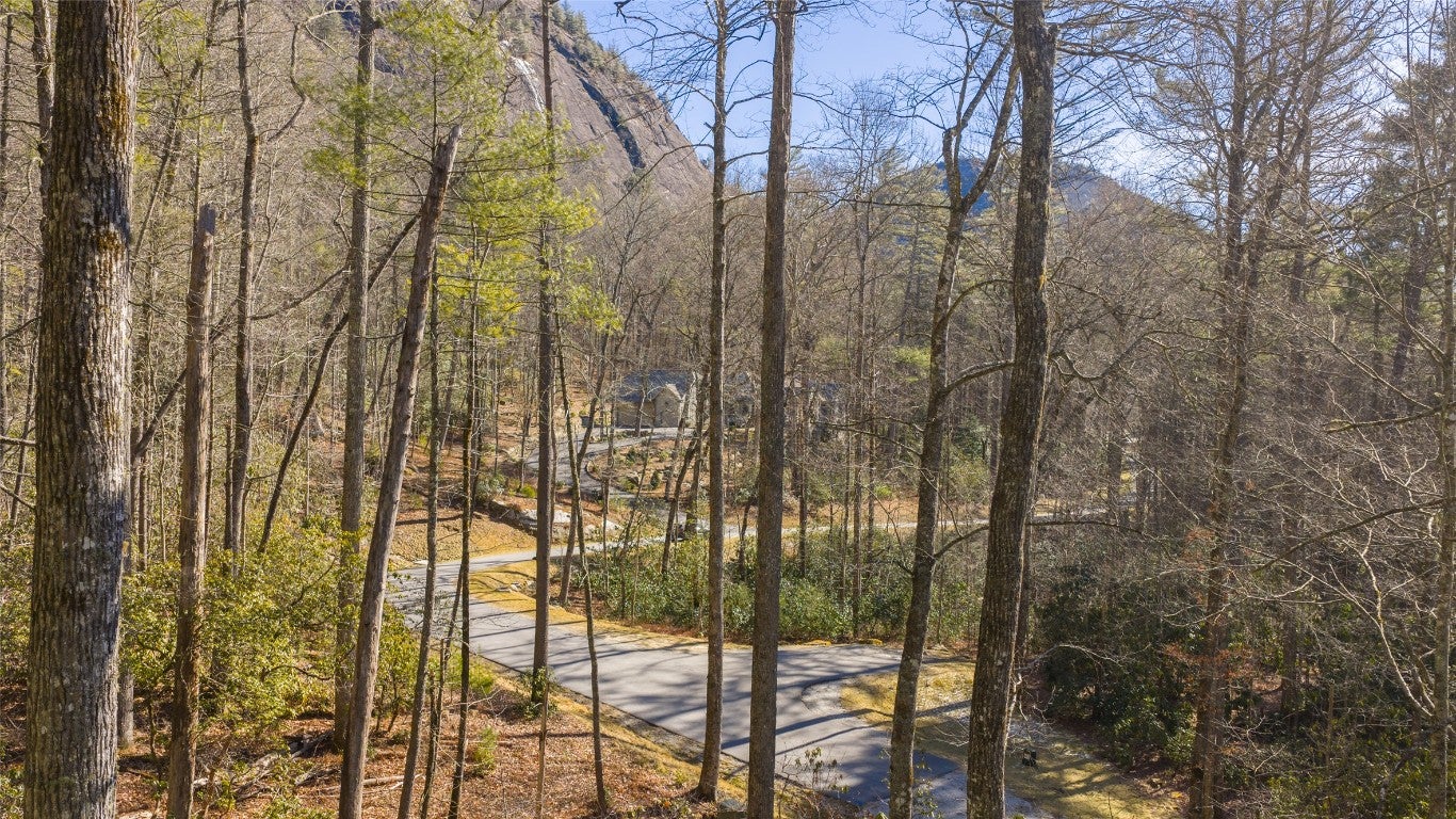 87 Flagstone Road Sapphire, NC 28774 - Photo 4 of 14 Gallery Image 4