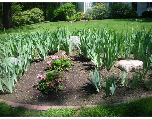 33 Hoover Road Needham, MA 02494 - Photo 6 of 6 a view of a garden with plants