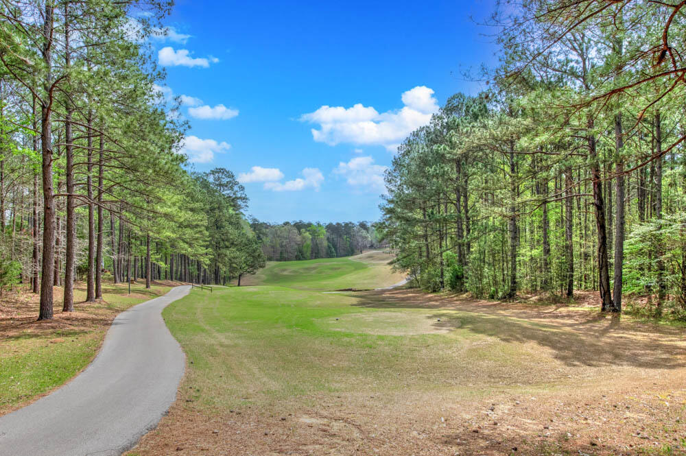 205 Tranquility Lane McCormick, SC 29835 - Photo 7 of 14 Golf Course Trail!