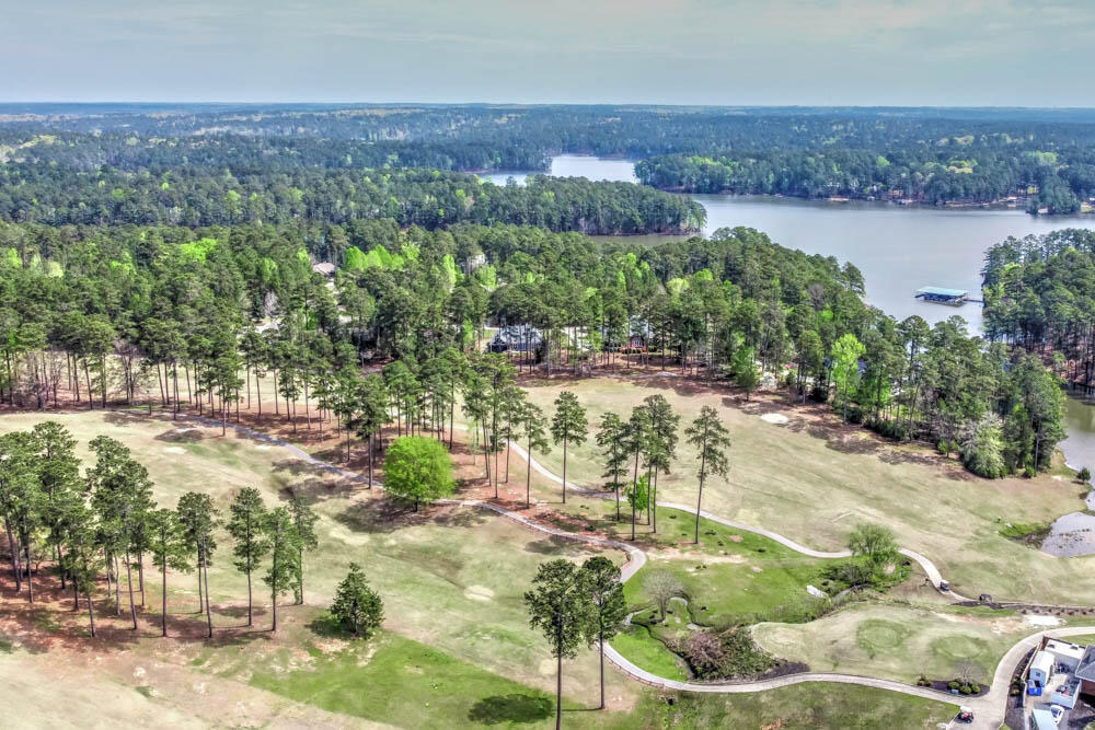 205 Tranquility Lane McCormick, SC 29835 - Photo 8 of 14 Aerial View of Course!
