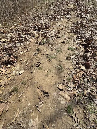 $795,000 | 0 326th Avenue, La Grange, MO 63448