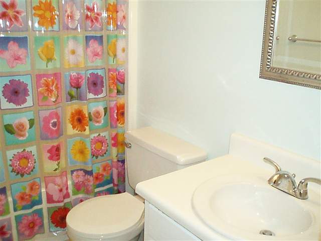 4115 Mission Road, Unit 2 Tallahassee, FL 32303 - Photo 4 of 25 Gallery Image 4