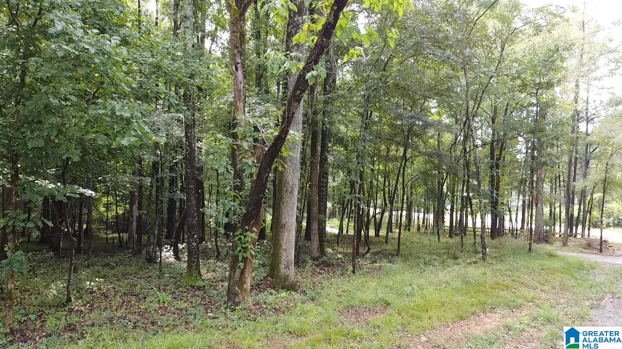 58 Rustic Oaks Drive Sterrett, AL 35147 - Photo 11 of 30