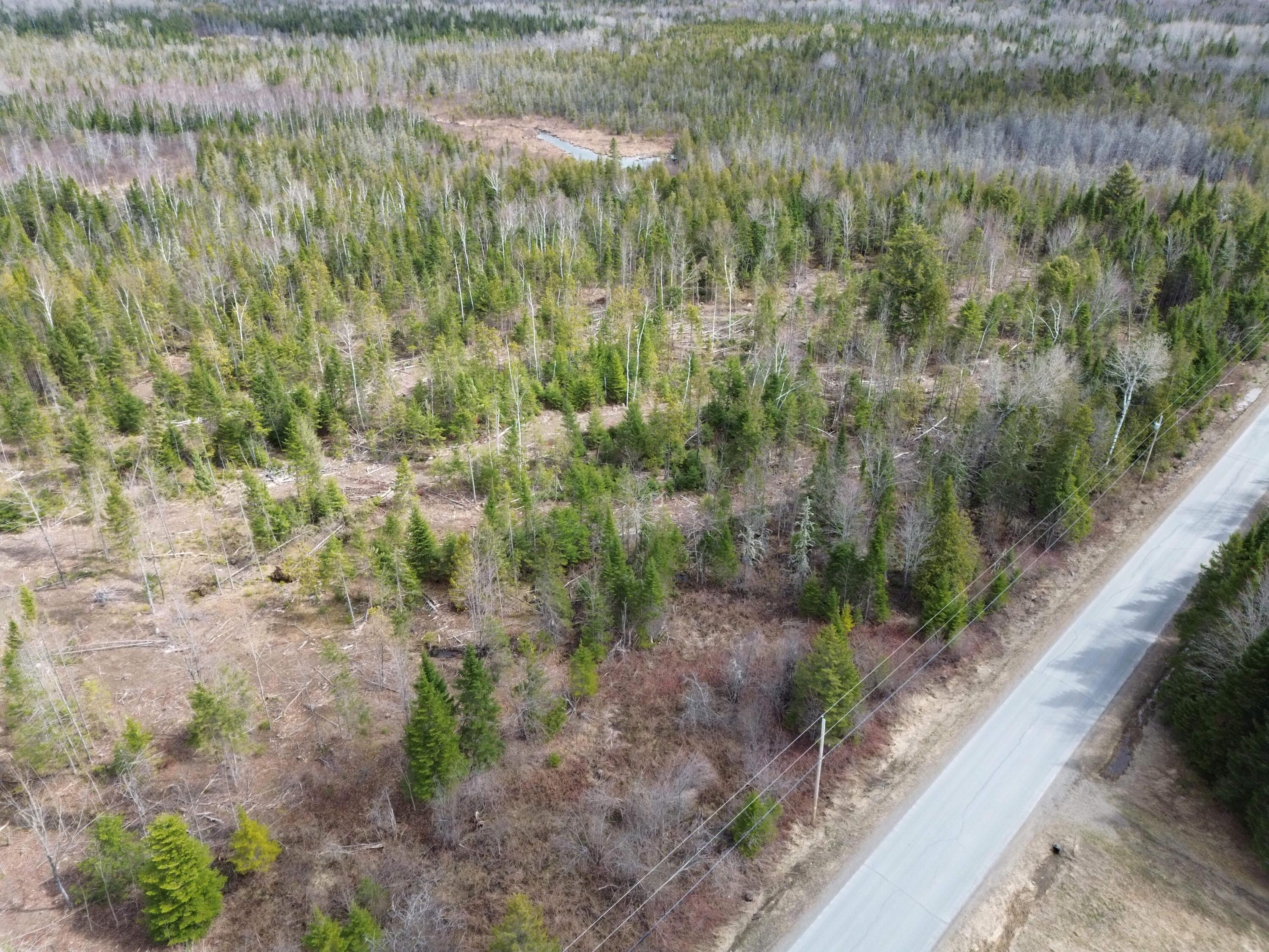 389 Dudley Road Castle Hill, ME 04757 - Photo 5 of 10 dji_fly_20260429_110242_165_177747521786