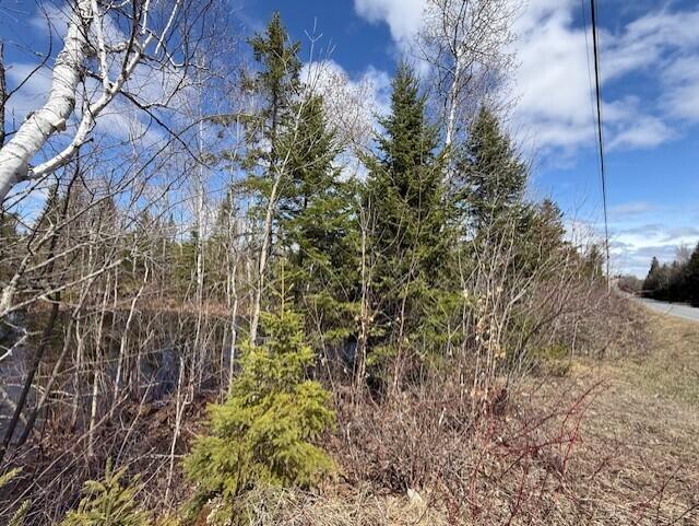 389 Dudley Road Castle Hill, ME 04757 - Photo 6 of 10 9d26182b-2614-4709-9683-462949f6b142