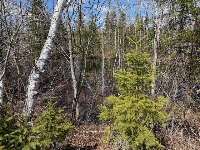 389 Dudley Road Castle Hill, ME 04757 - Photo 7 of 10 330ebcd4-8839-49e1-9aed-43c861855d48