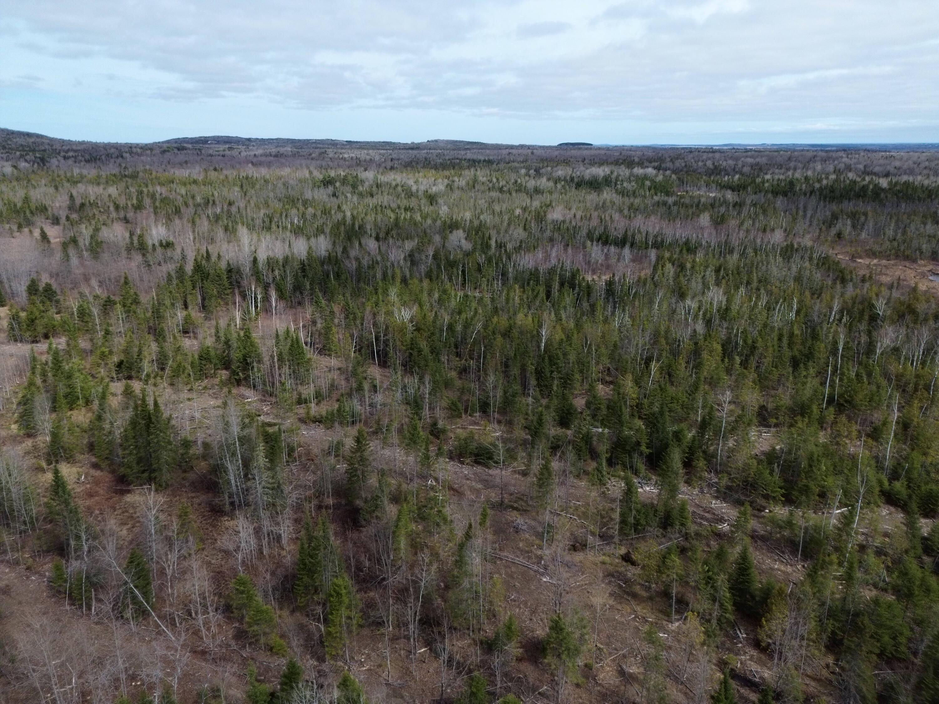 389 Dudley Road Castle Hill, ME 04757 - Photo 9 of 10 dji_fly_20260429_110314_170_177747530360