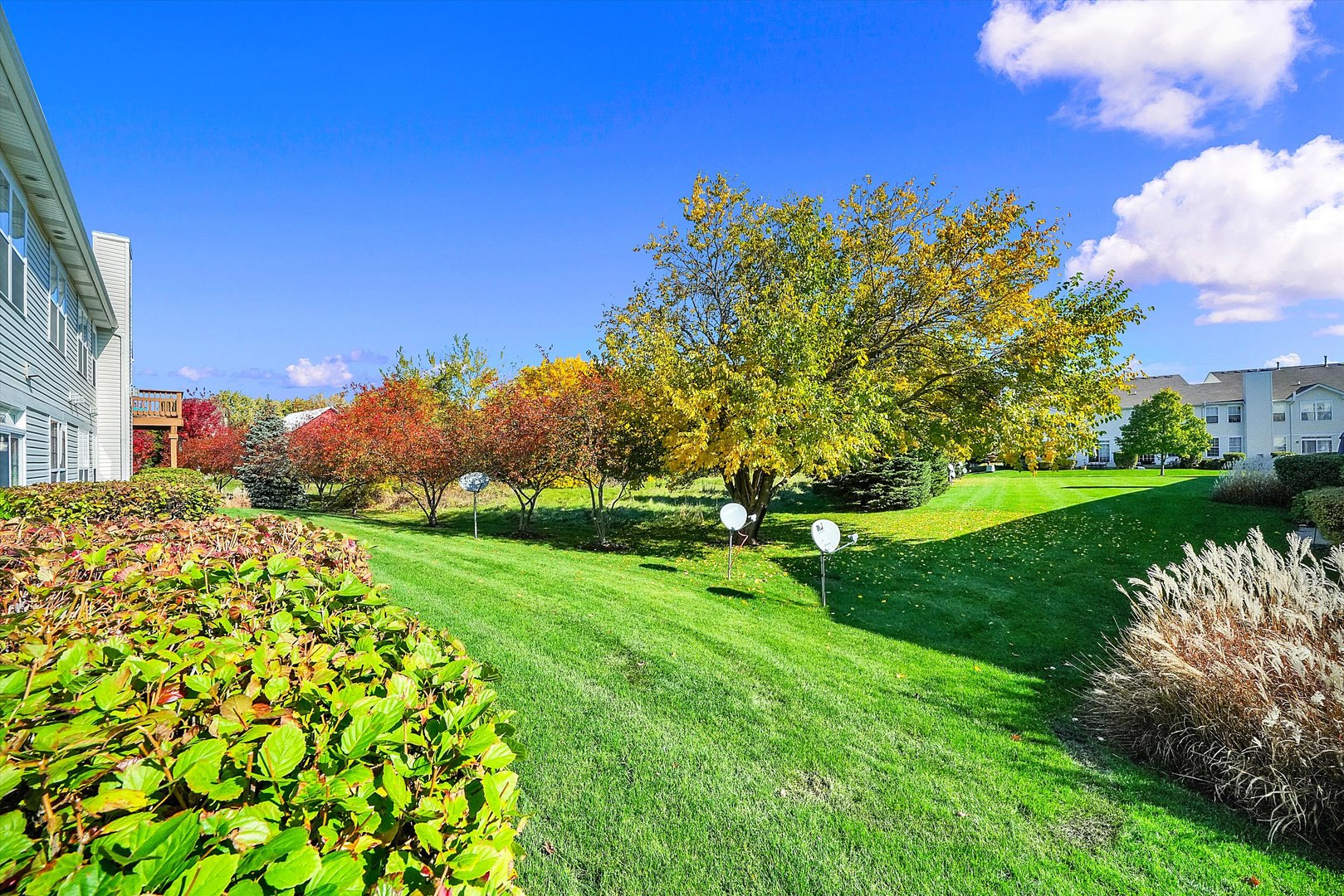 1956 West Cobblestone Road Romeoville, IL 60446 - Photo 14 of 14 a view of a garden with a building in the background